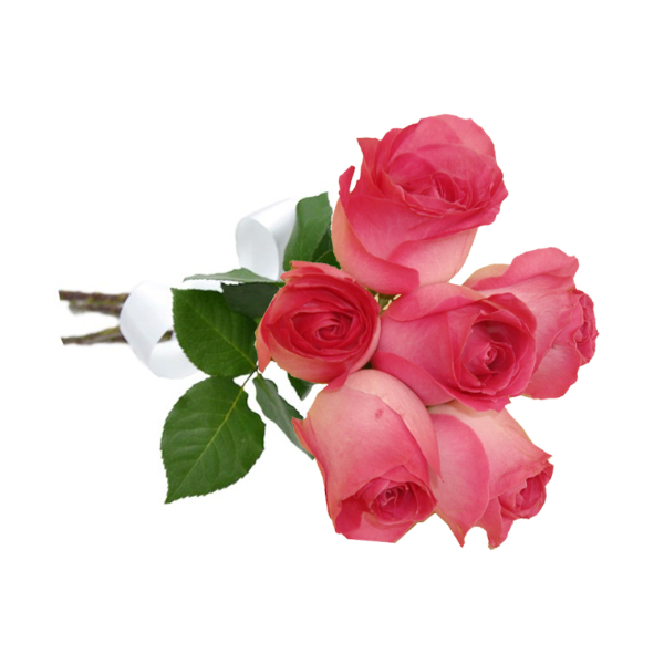 Buqu com 6 Rosas Rosadas
