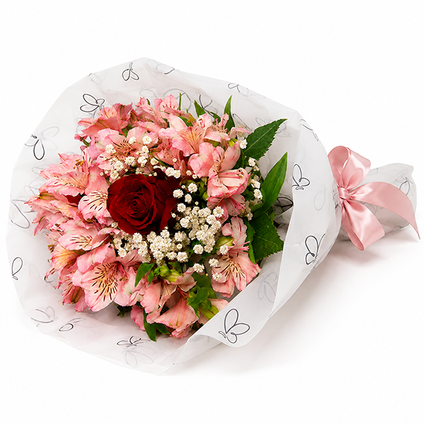 Rosa com Astrom�lias