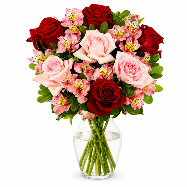 Amor e Paix�o Premium